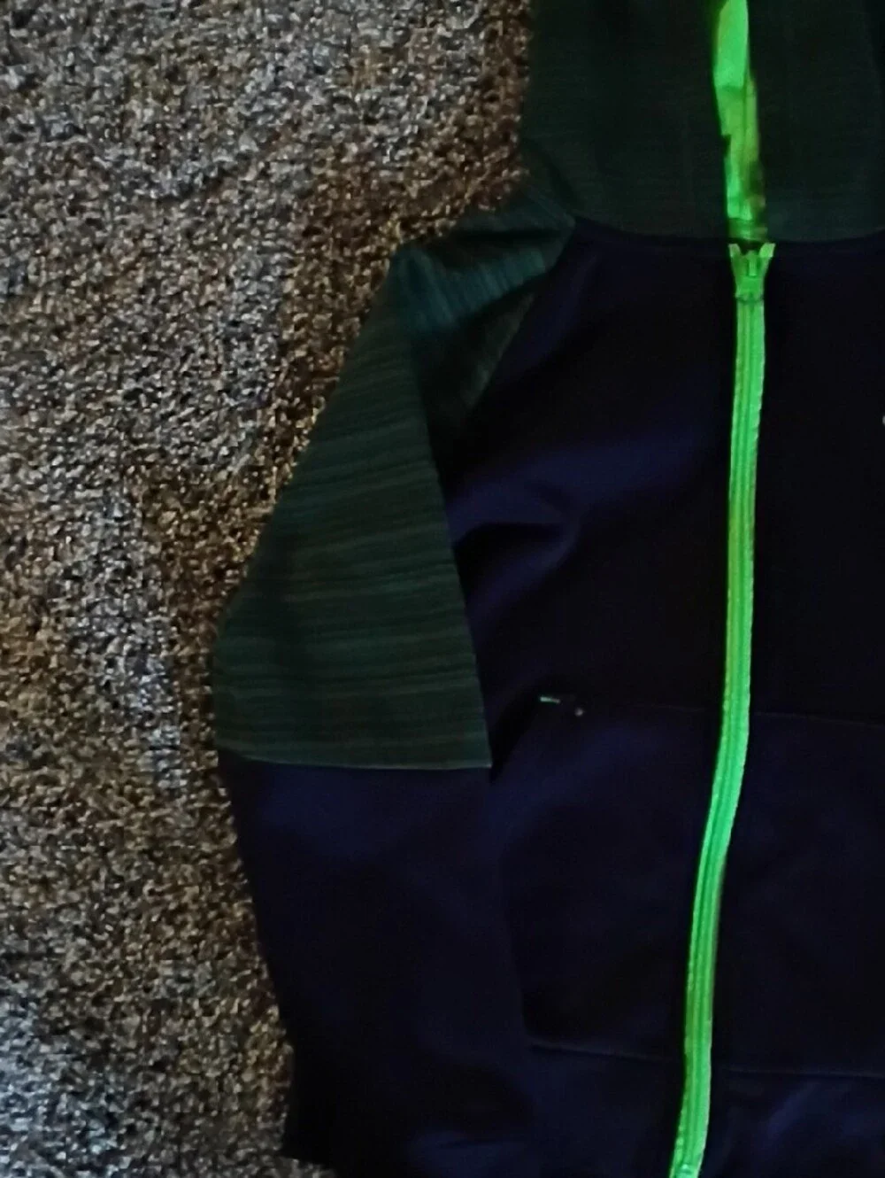 Champion Navy Hoodie with Bright Green Trim